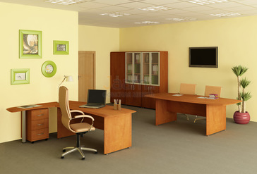 Кабинет руководителя Консул