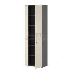 Мебель для персонала Офисный шкаф ПК-СТС-Ш217х71
