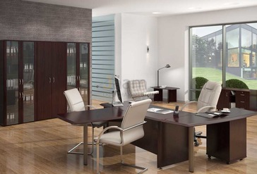 Кабинет руководителя Консул