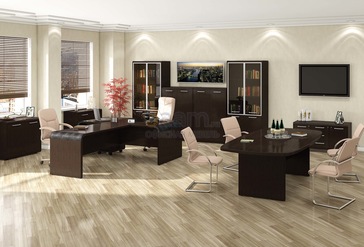 Кабинет руководителя Фаворит